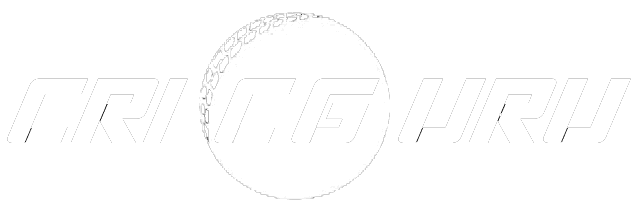 Cricguru